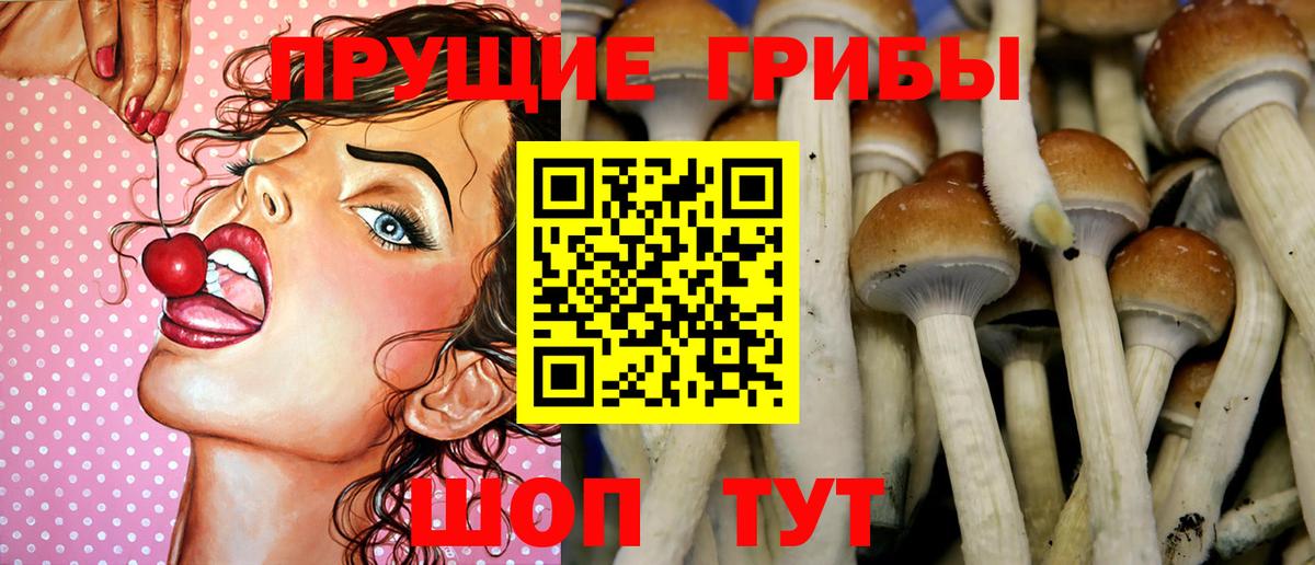 Галлюциногенные грибы ЛСД Бор