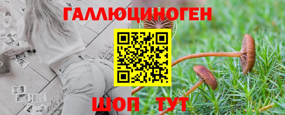 Псилоцибиновые грибы ЛСД  Псилоцибиновые грибы Psilocybe  Вход с VPN  Бор 